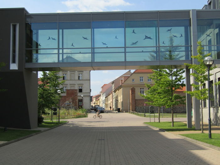 Street amidst buildings seen through glass window