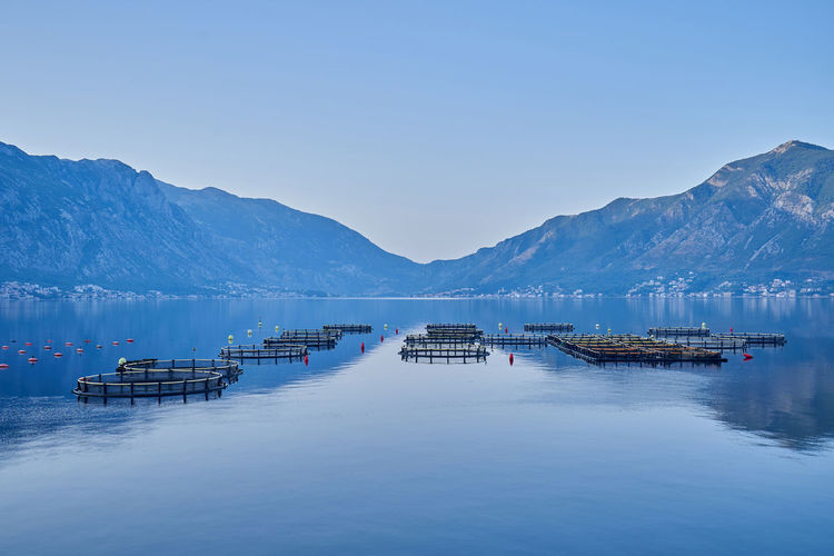 Morning seascape, fish farms on the background of mountains in montenegro