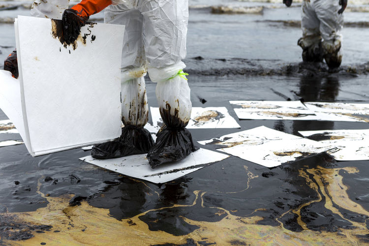 Low section of volunteers holding cardboards while standing in oil at beach