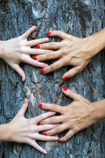 Cropped hands of women on tree trunk