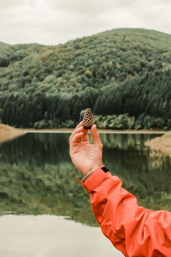Close-up of hand holding a pine cone