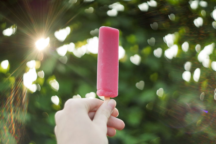 Cropped hand holding popsicle against trees