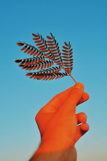 Low angle view of hand holding leaf against blue sky