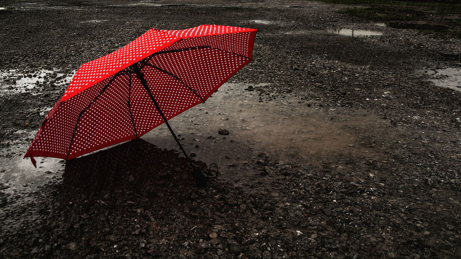Rainy weather, colorful umbrella as a red contrast in a dark gray rainy landscape