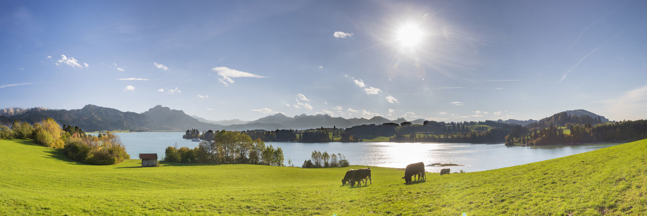 Beautiful landscape in bavaria at spring