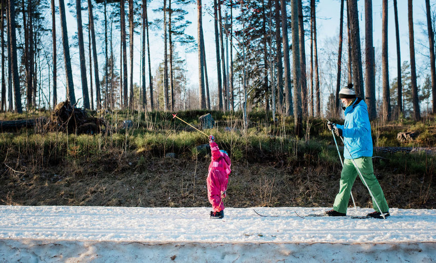 Father cross country skiing with his daughter in sweden at sunset