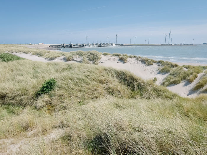 Scenic view of beach against sky