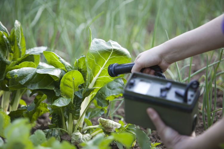 Cropped hand of person holding machine by plant