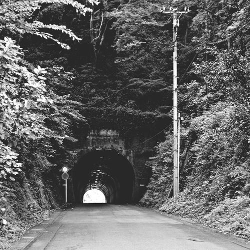 Empty road along trees