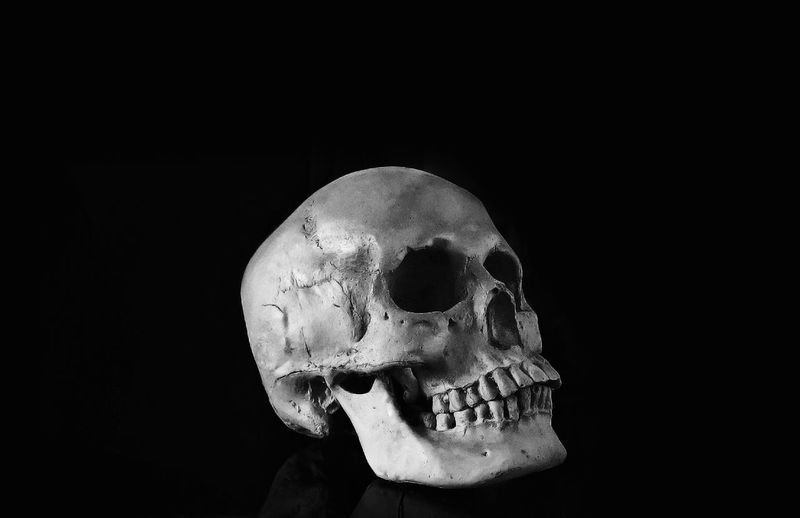 Human Skull pictures | Curated Photography on EyeEm