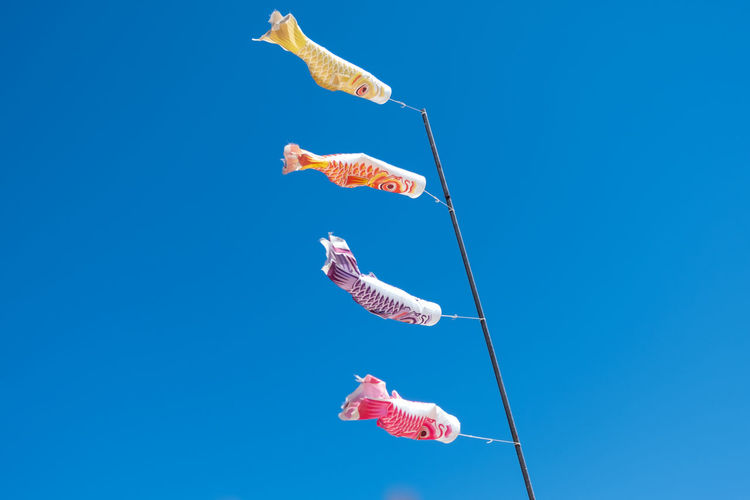 Low angle view of fish against blue sky