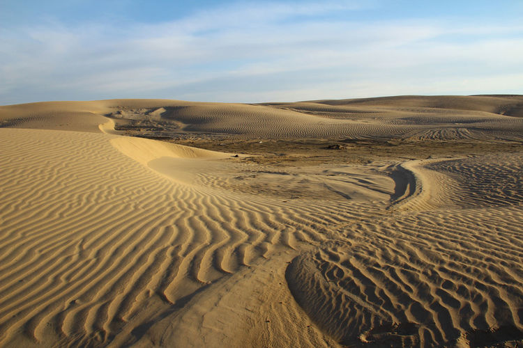 Sand dunes against a blue sky with clouds, summer at sunset