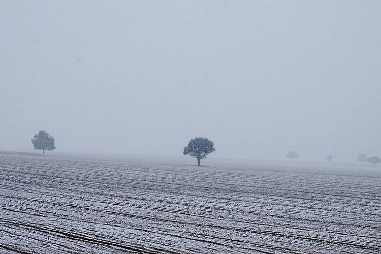 Scenic view of field against clear sky during winter