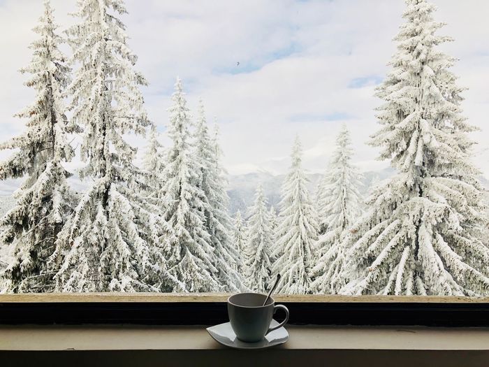 Cup with spoon placed on plate near a window through which you can see forest of evergreen trees