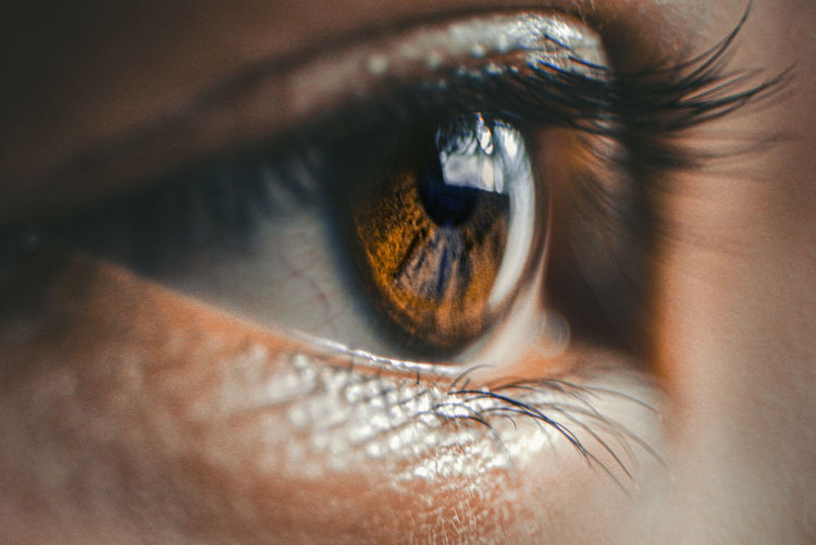 Extreme close-up of human eye