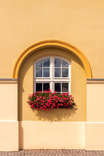 A white window placed in an arch-shaped recess against the background of a yellow wall. 