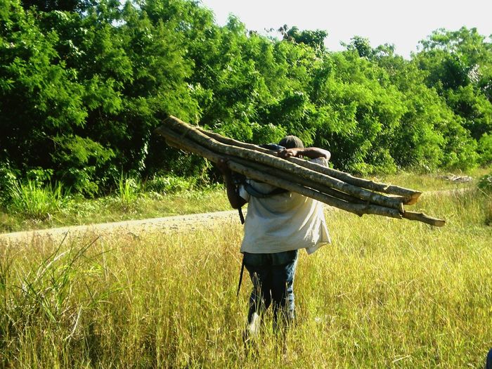 Man carrying load on field against sky