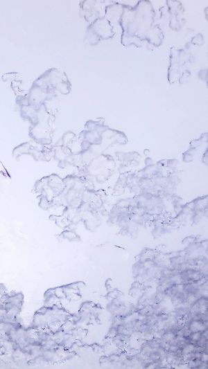 Close-up of ice floating on water