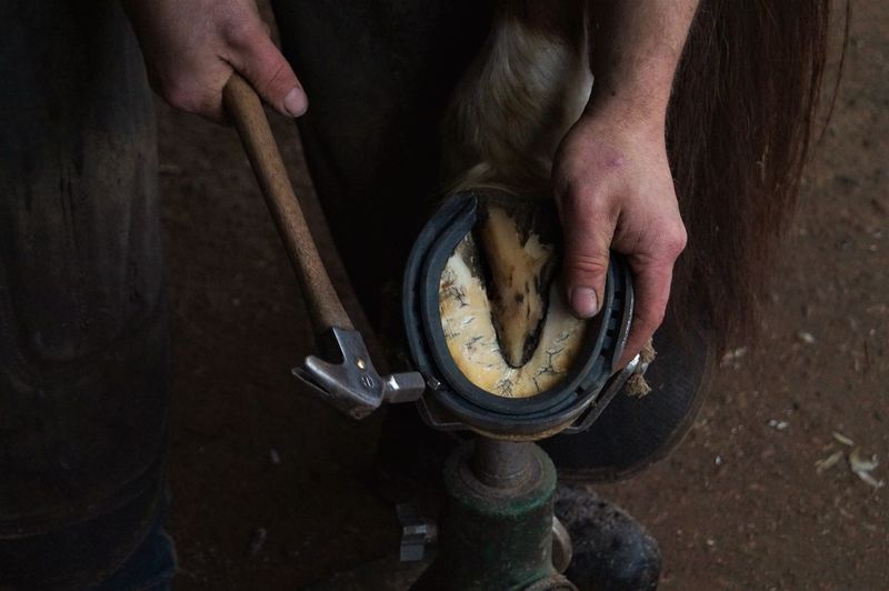 Cropped image of farrier hammering horseshoe in workshop