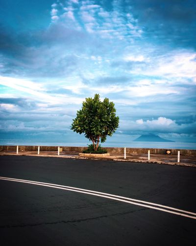 Trees by road against sky