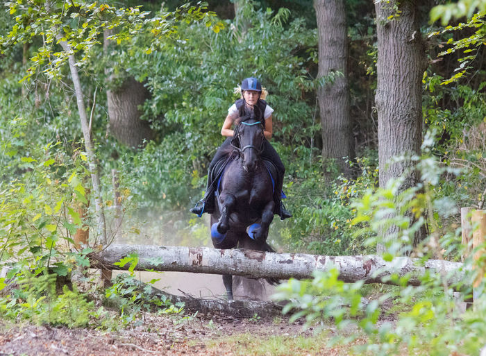 Jockey riding horse against trees in forest during training