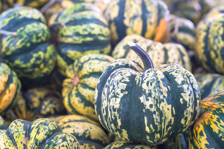 Close-up of pumpkin for sale at market stall