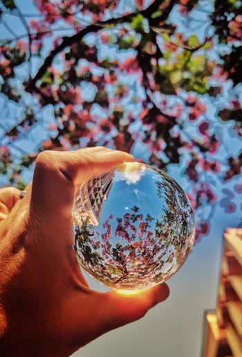Close-up of hand crystal ball