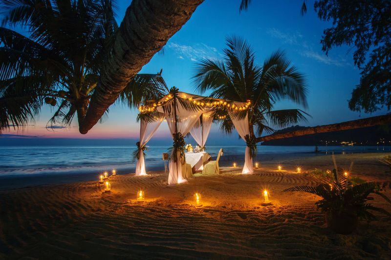 Palm trees on beach against sky at dusk