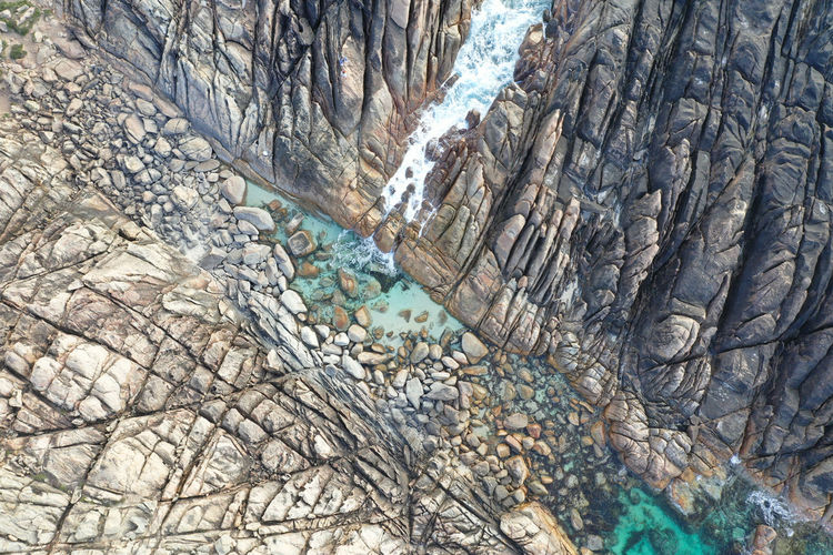 Full frame shot of tree trunk