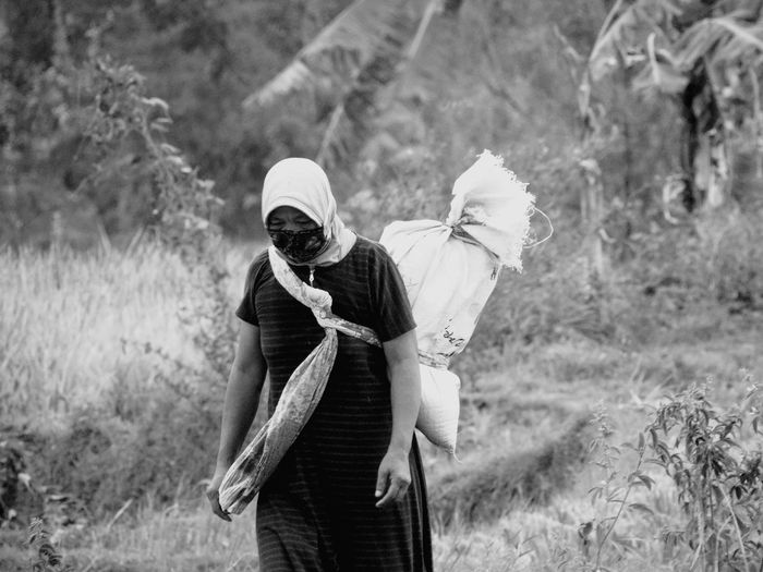 Many women in indonesia also work as farmers, they usually go home with a sack of unhulled rice