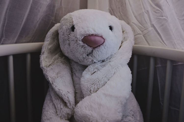 Close-up of teddy bear