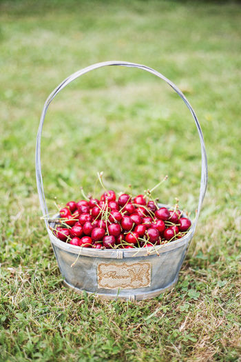 Fresh cherries in a basket