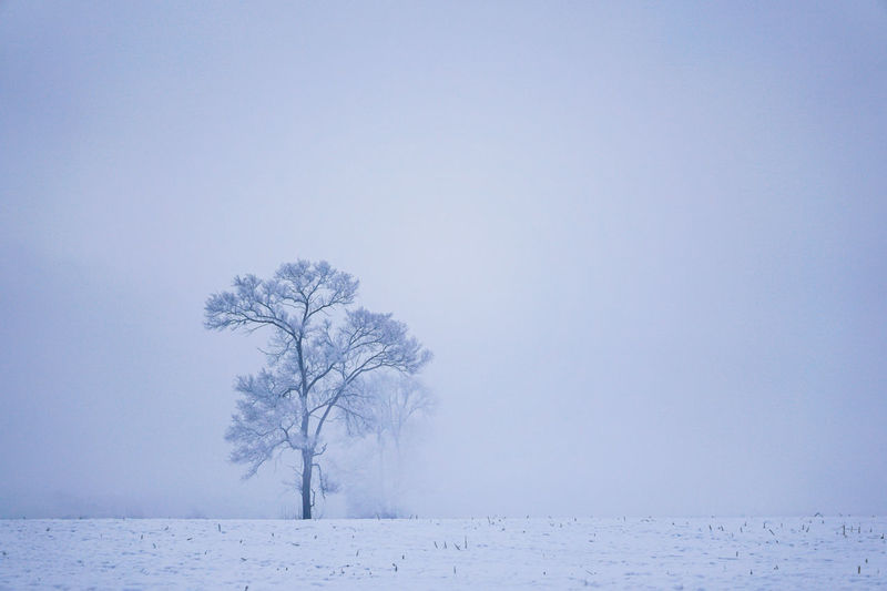Jilin,rime,china
