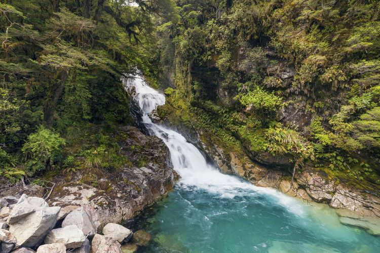 View of falls creek waterefall near milford sound area at fiordland national park, new zealand