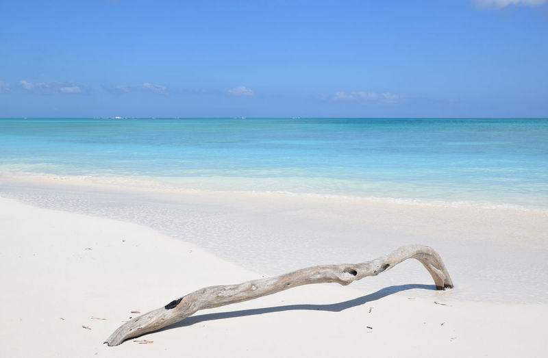 Scenic view of driftwood on caribbean beach against sky