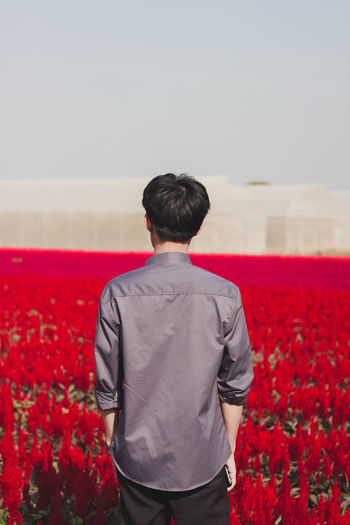 Rear view of man standing on red field against sky