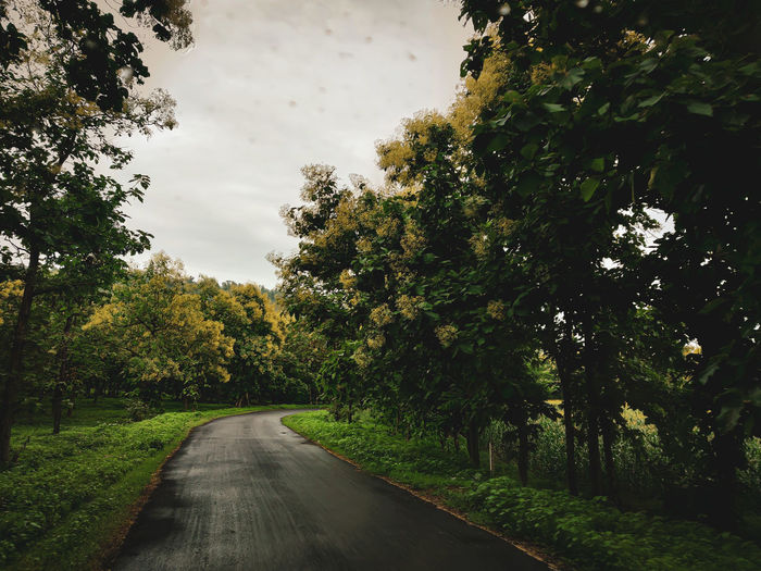Sometimes the most scenic roads in life are the detours you didn't mean to take.