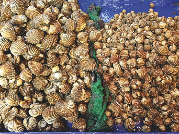 Pile of fresh cockles at the market
