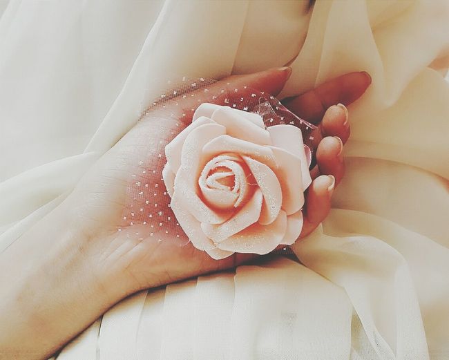 Close-up of pink rose corsage in the hand of a woman wearing a chiffon dress