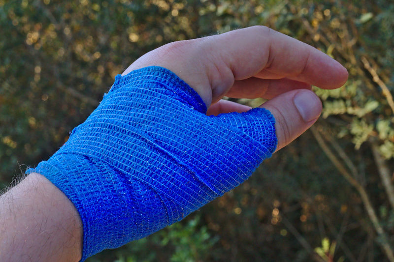 Close-up of hand holding blue leaf