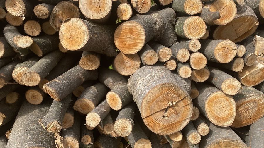 Full frame shot of logs in forest