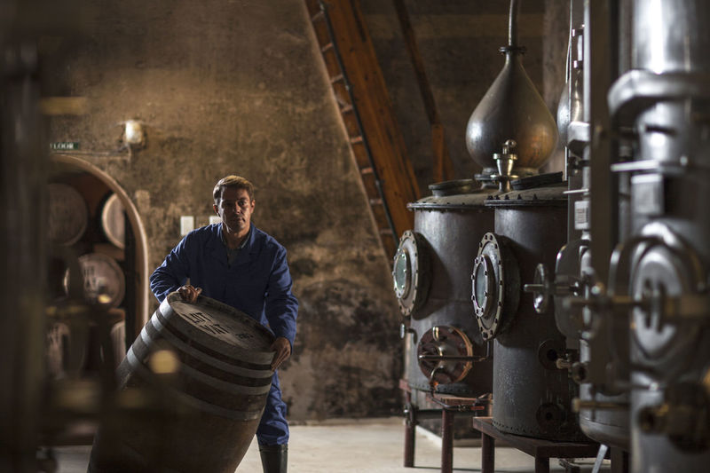 Worker working in distillery
