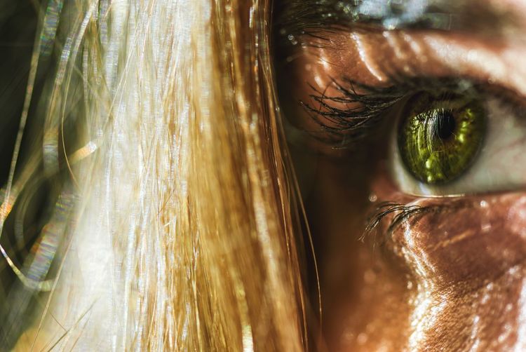 Close-up of human eye