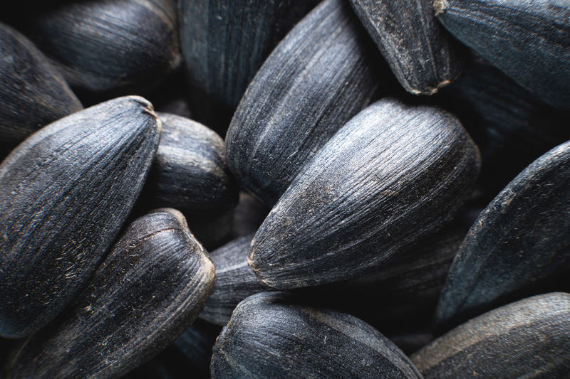 Close-up of sunflower seeds in shallow depth of field macro shot. snack food background