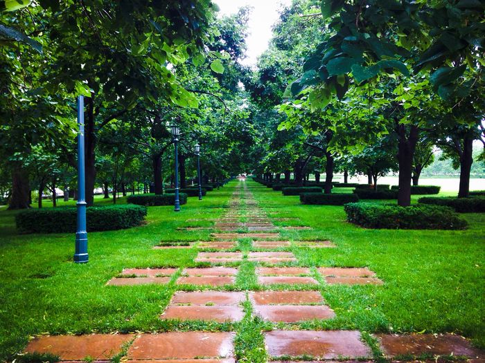 Empty walkway in park