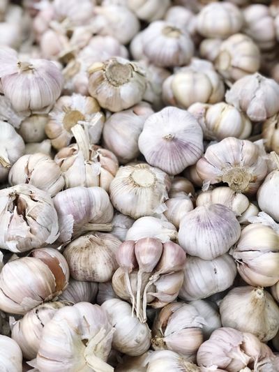 Close up of garlic background.
