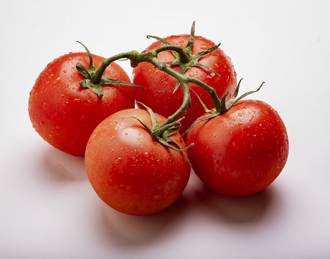Close-up of wet tomatoes against white background