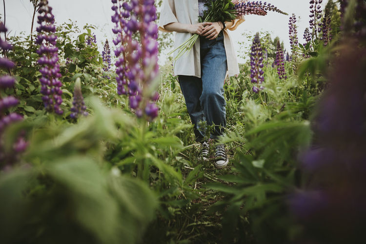 Girl with lupin flowers walking on field