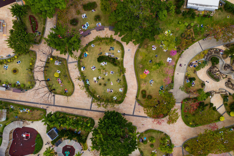 High angle view of plants in park