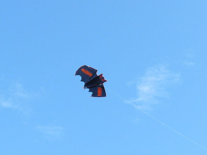 Low angle view of kite flying against blue sky